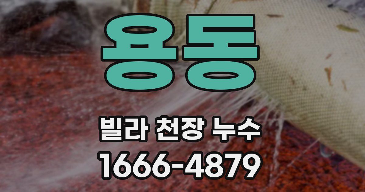 용동 빌라 천장 누수