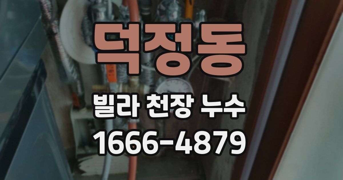 덕정동 빌라 천장 누수