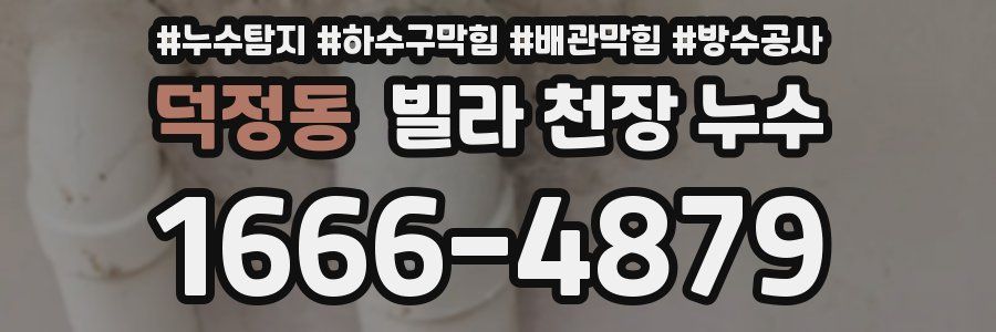 덕정동 빌라 천장 누수
