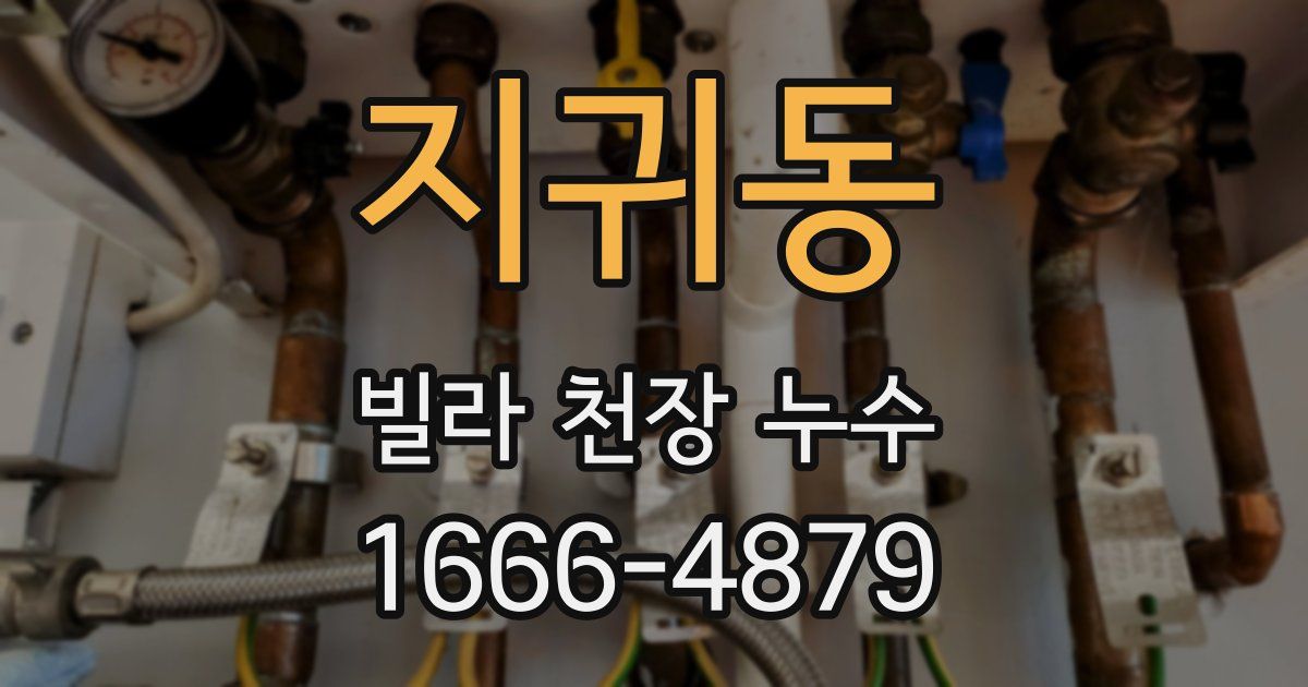 지귀동 빌라 천장 누수