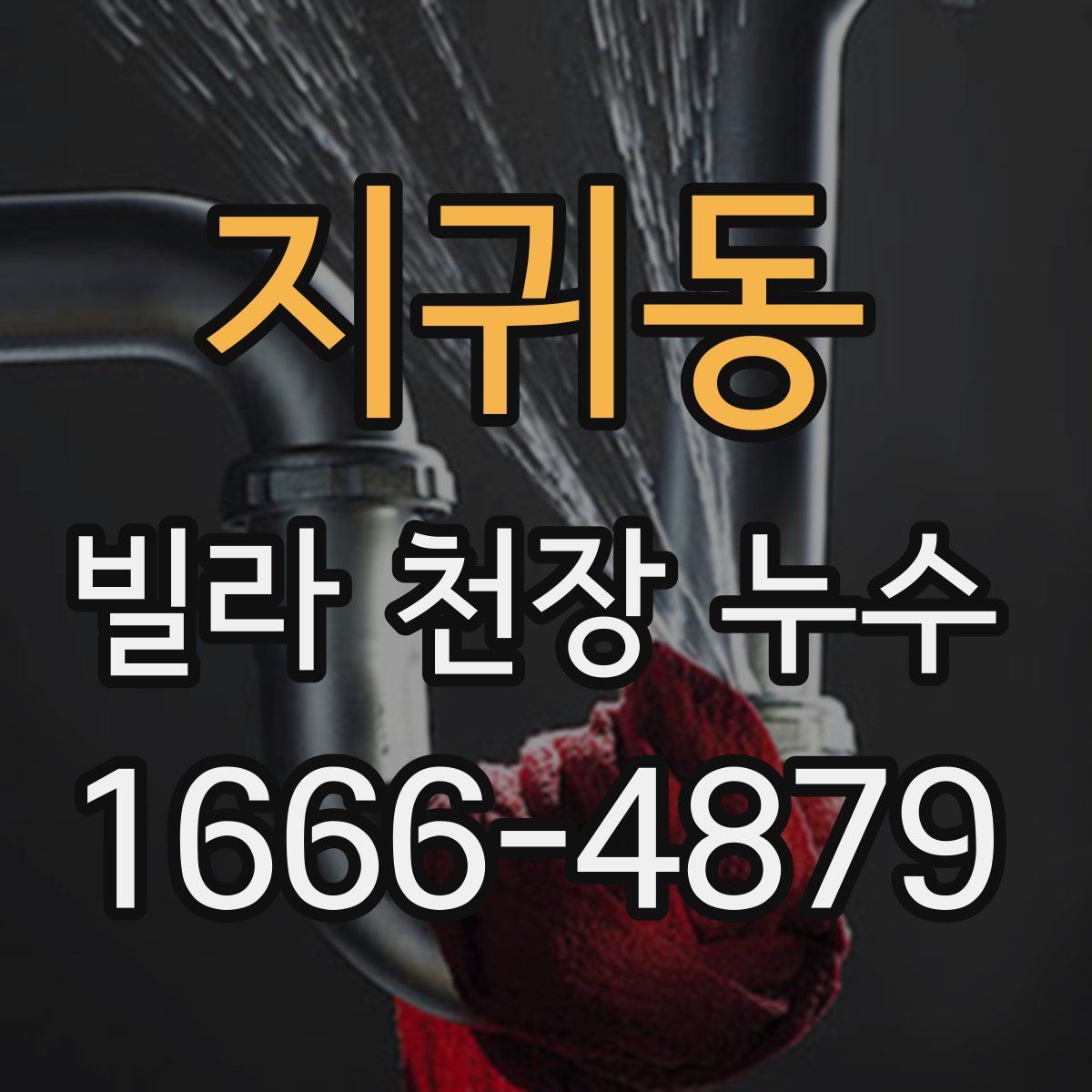 지귀동 빌라 천장 누수