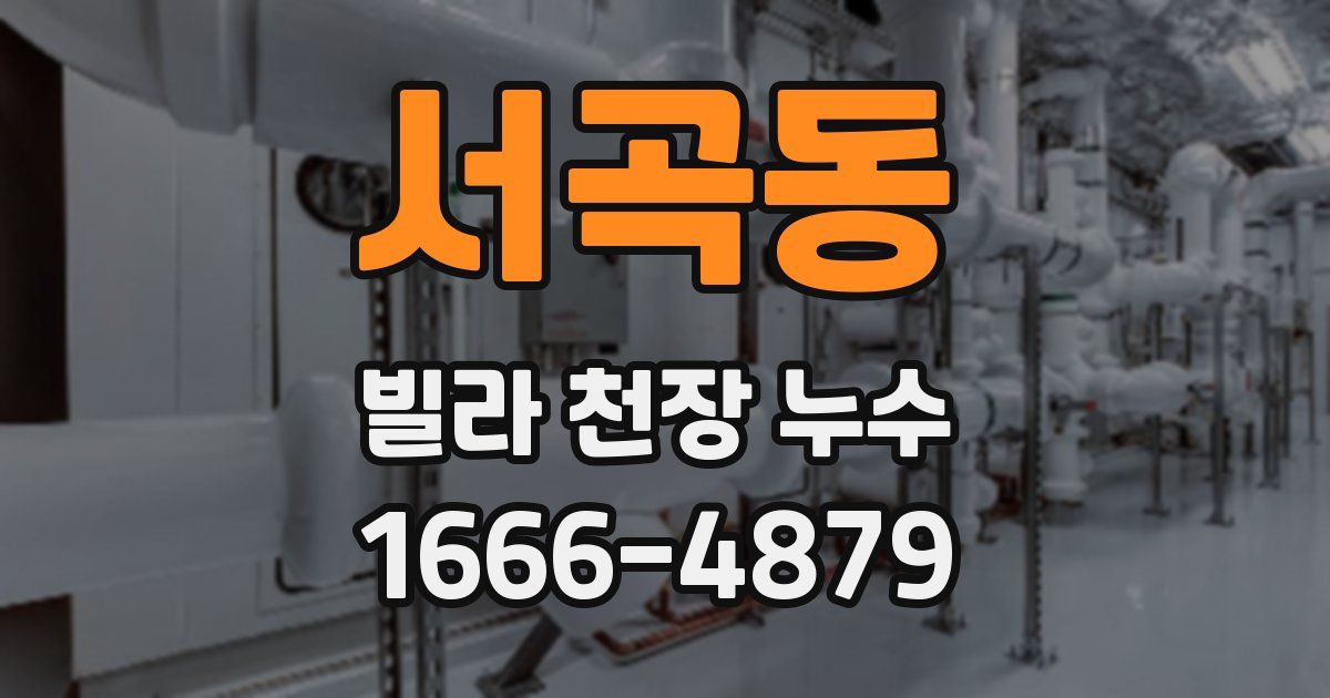 서곡동 빌라 천장 누수