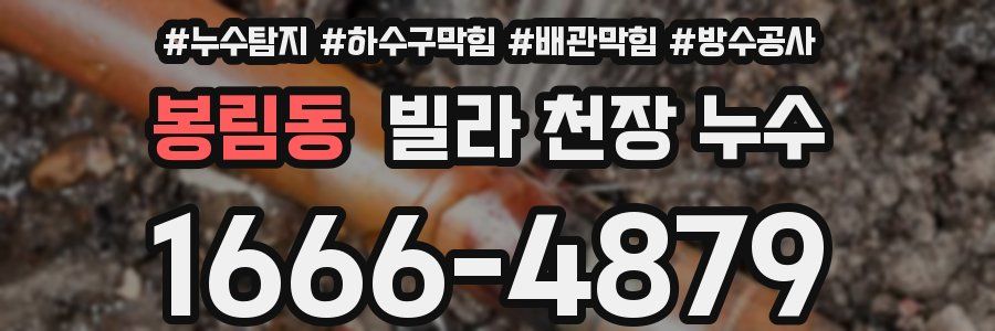 봉림동 빌라 천장 누수