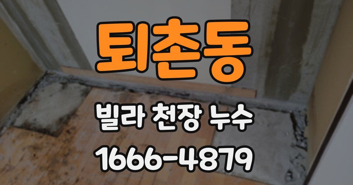 퇴촌동 빌라 천장 누수