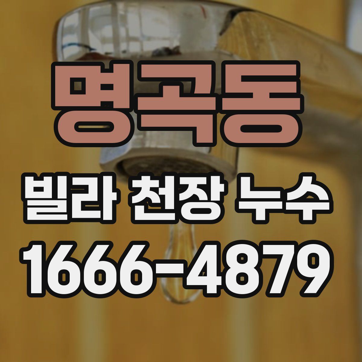 명곡동 빌라 천장 누수