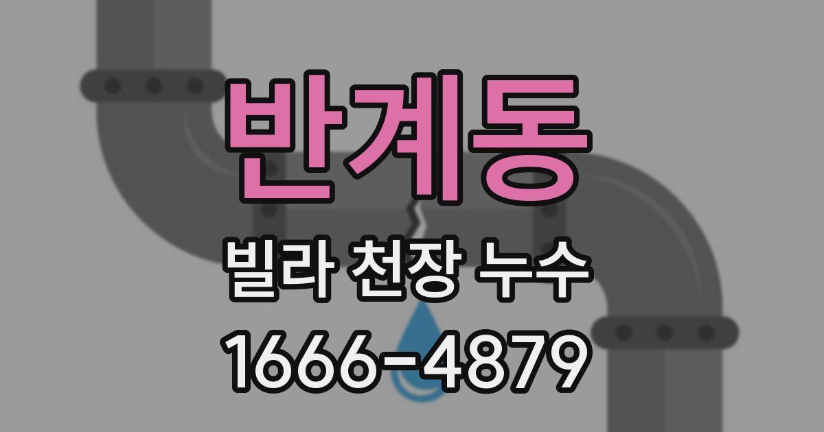 반계동 빌라 천장 누수
