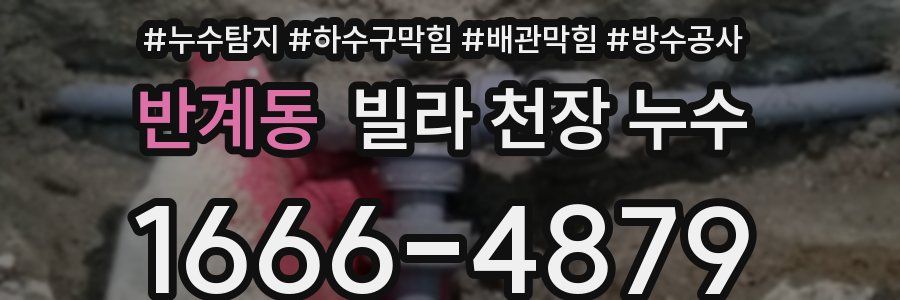 반계동 빌라 천장 누수