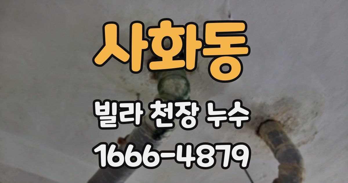 사화동 빌라 천장 누수