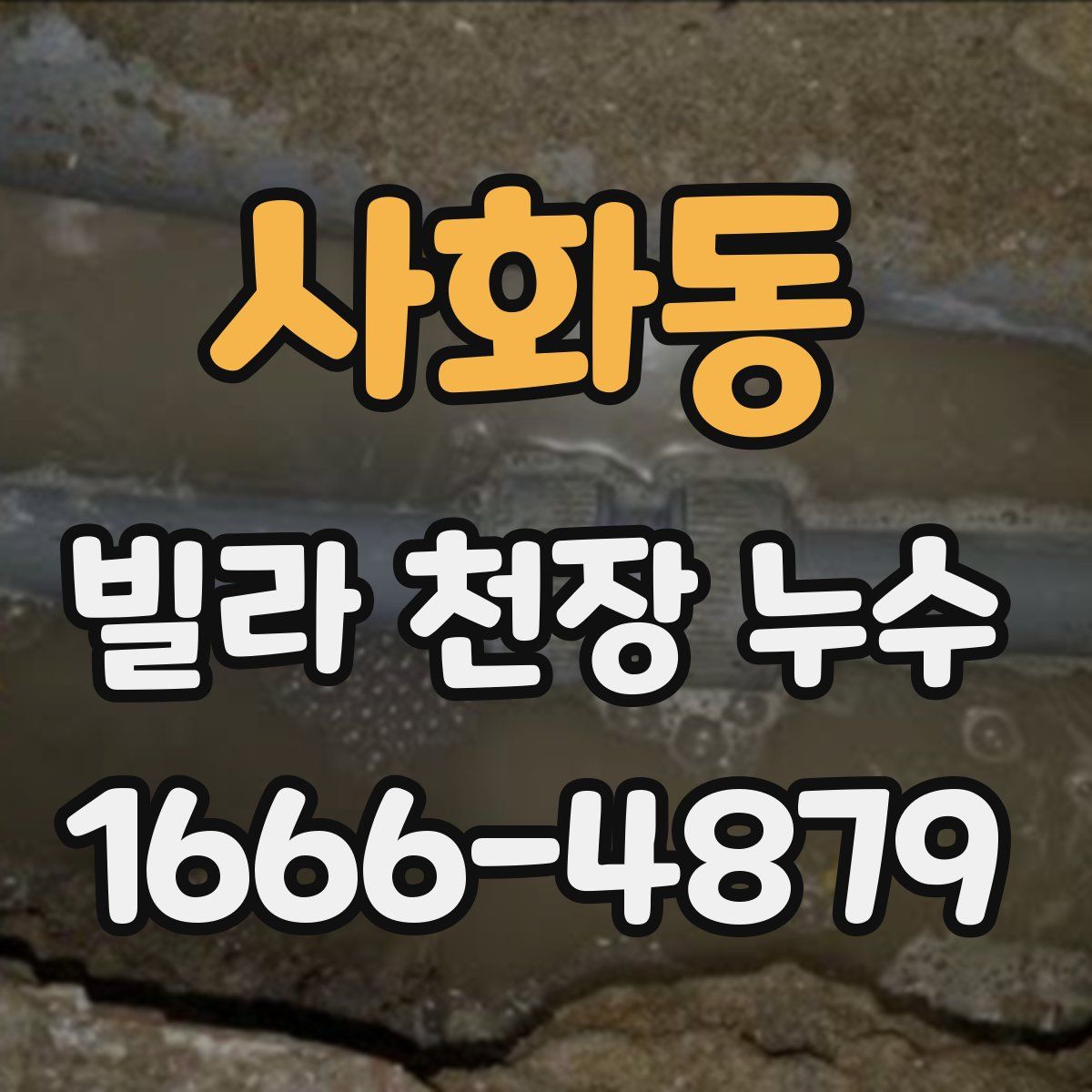 사화동 빌라 천장 누수