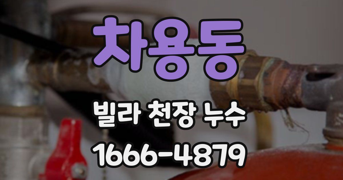 차용동 빌라 천장 누수