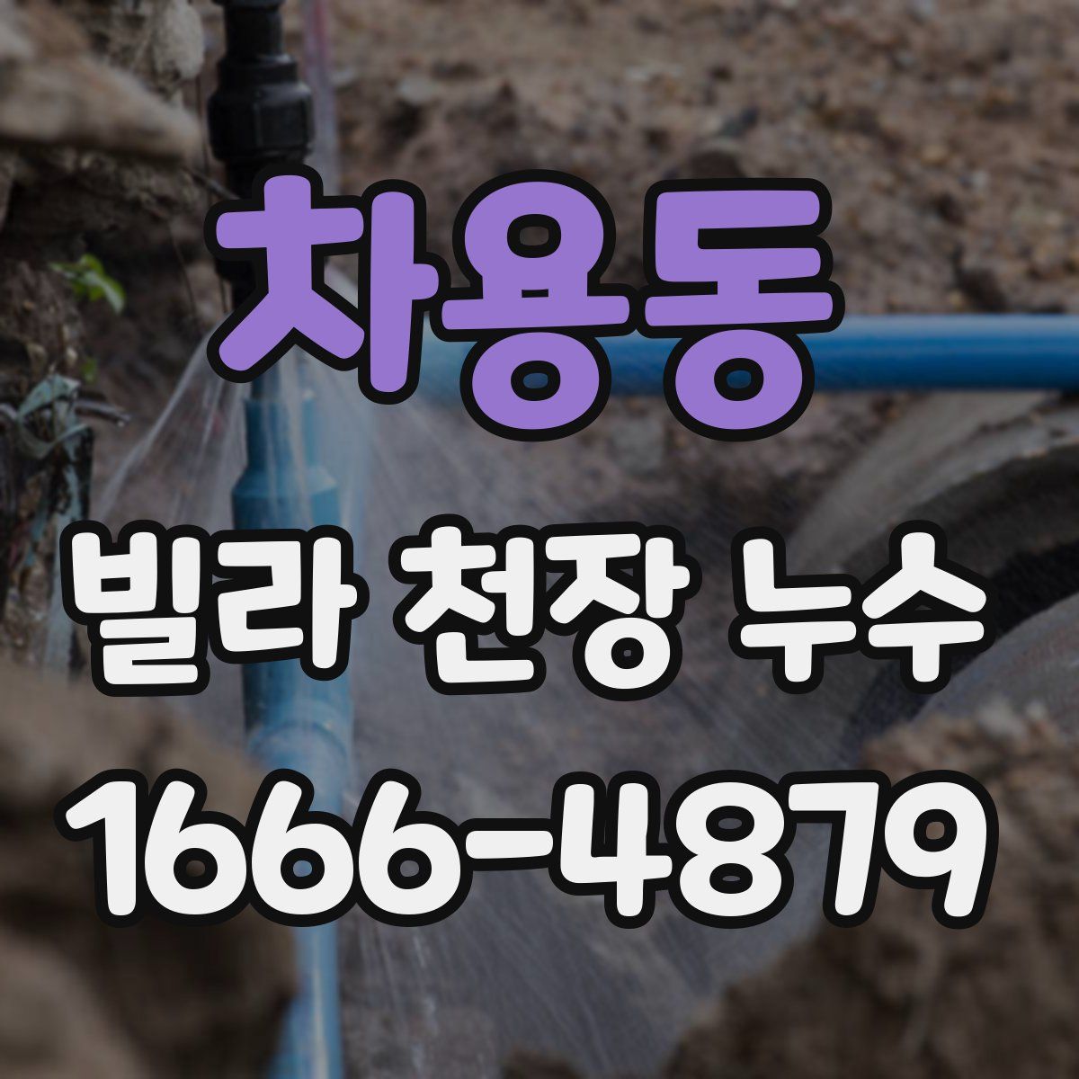차용동 빌라 천장 누수
