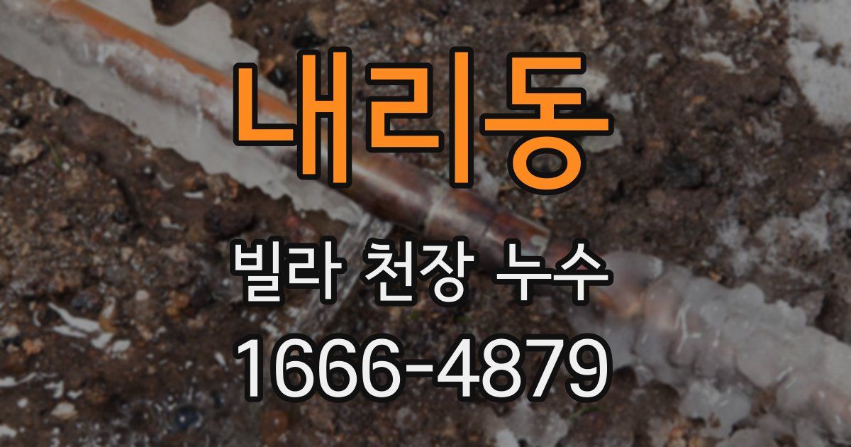 내리동 빌라 천장 누수