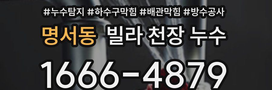 명서동 빌라 천장 누수
