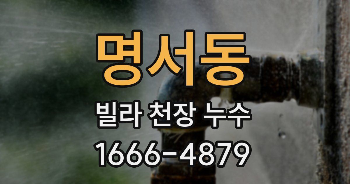 명서동 빌라 천장 누수