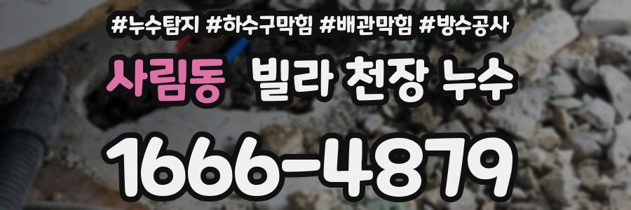 사림동 빌라 천장 누수