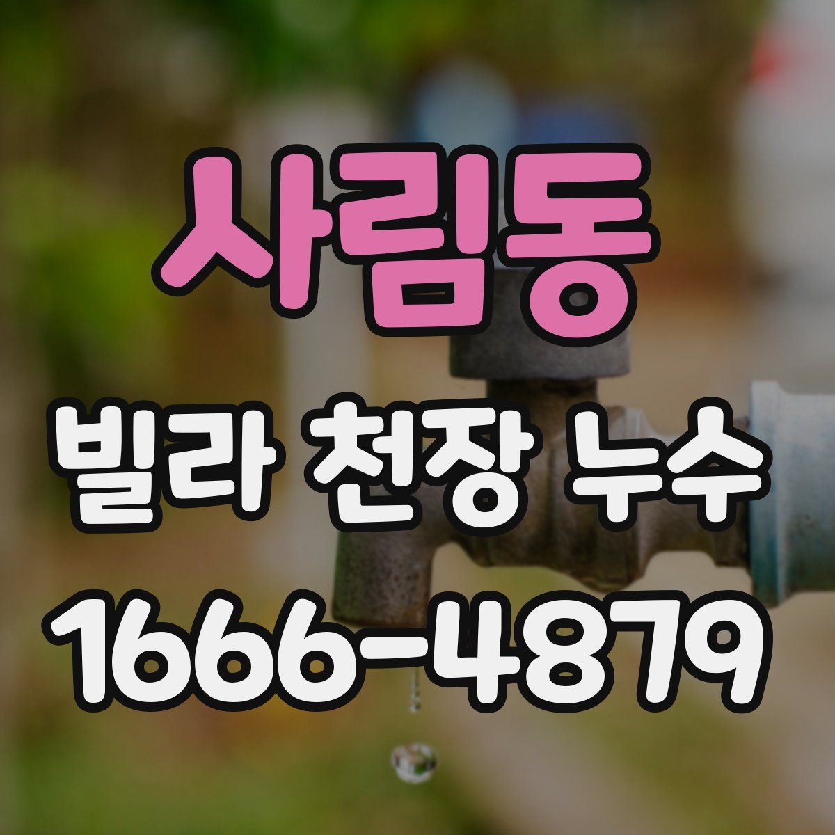 사림동 빌라 천장 누수
