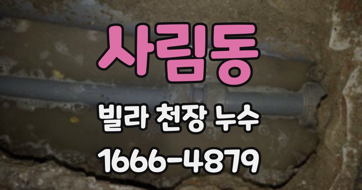 사림동 빌라 천장 누수