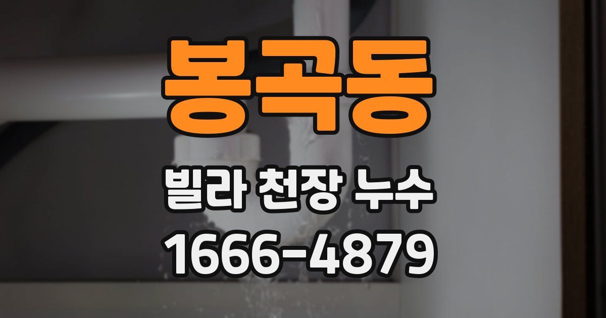 봉곡동 빌라 천장 누수