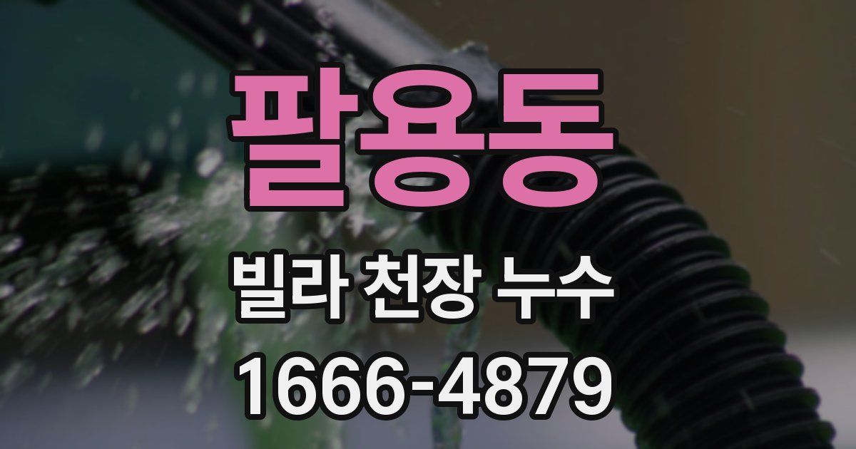 팔용동 빌라 천장 누수