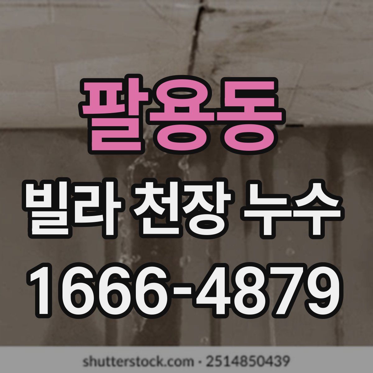 팔용동 빌라 천장 누수