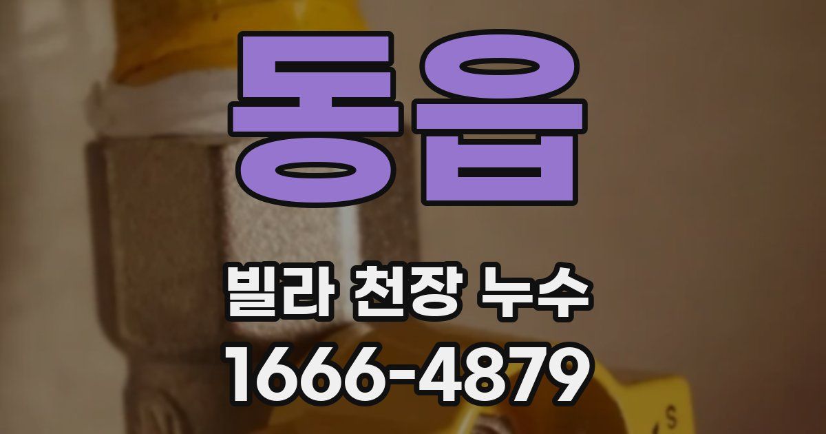 동읍 빌라 천장 누수