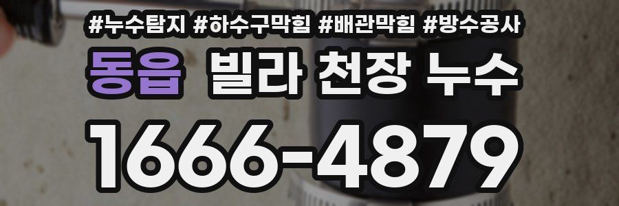 동읍 빌라 천장 누수