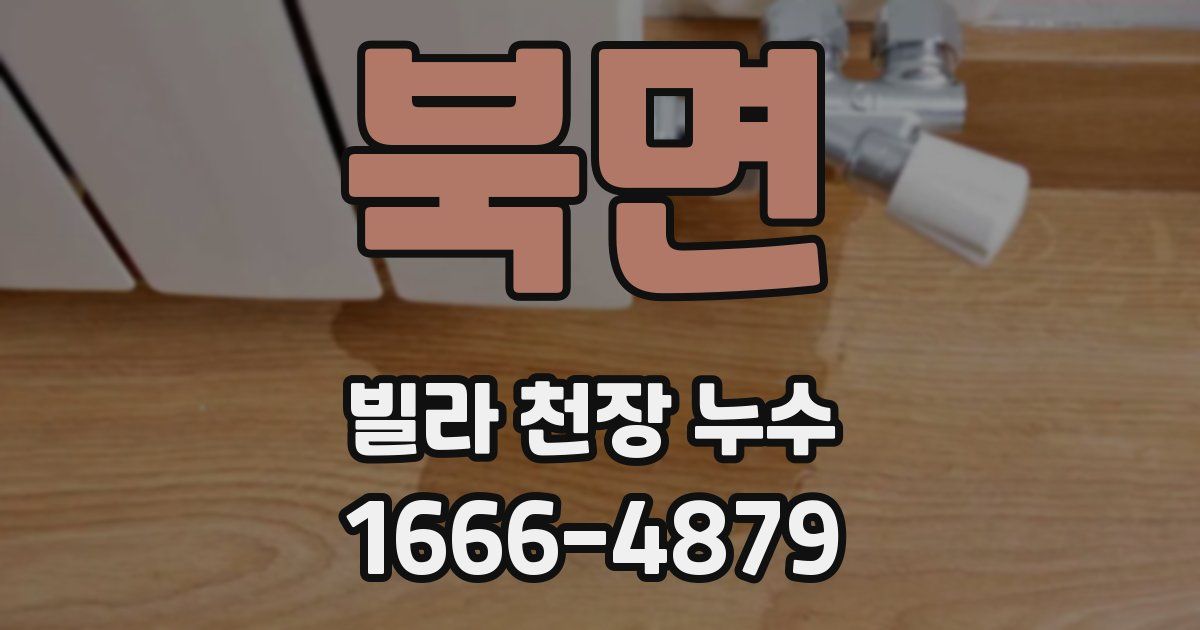 북면 빌라 천장 누수