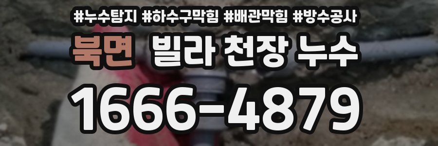 북면 빌라 천장 누수