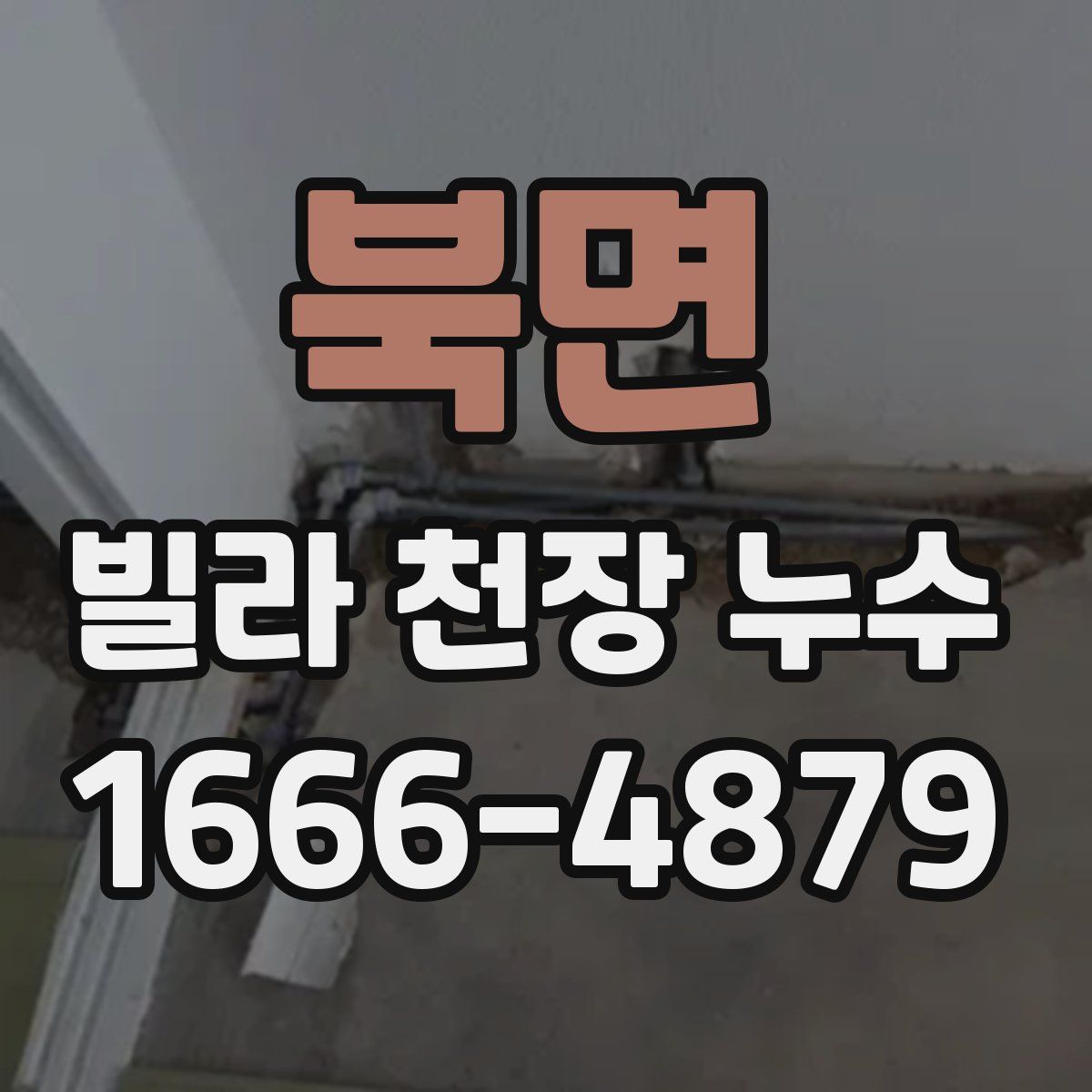 북면 빌라 천장 누수
