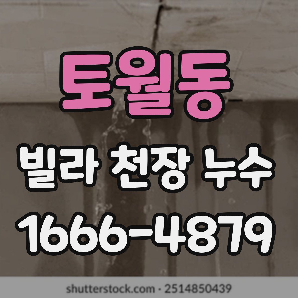토월동 빌라 천장 누수