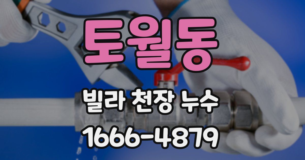 토월동 빌라 천장 누수