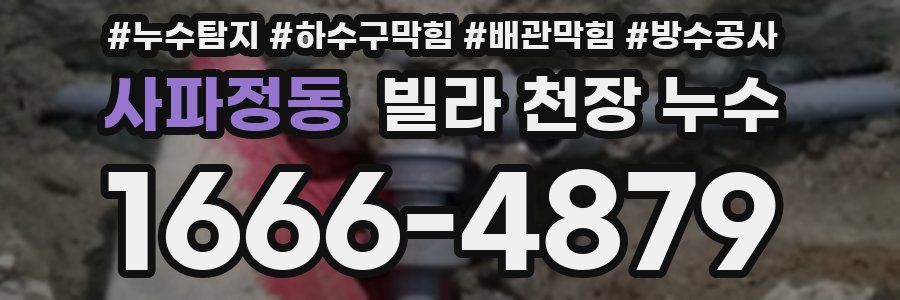 사파정동 빌라 천장 누수