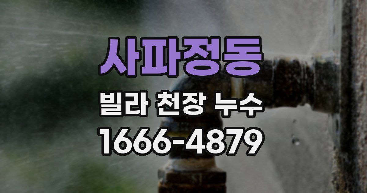 사파정동 빌라 천장 누수