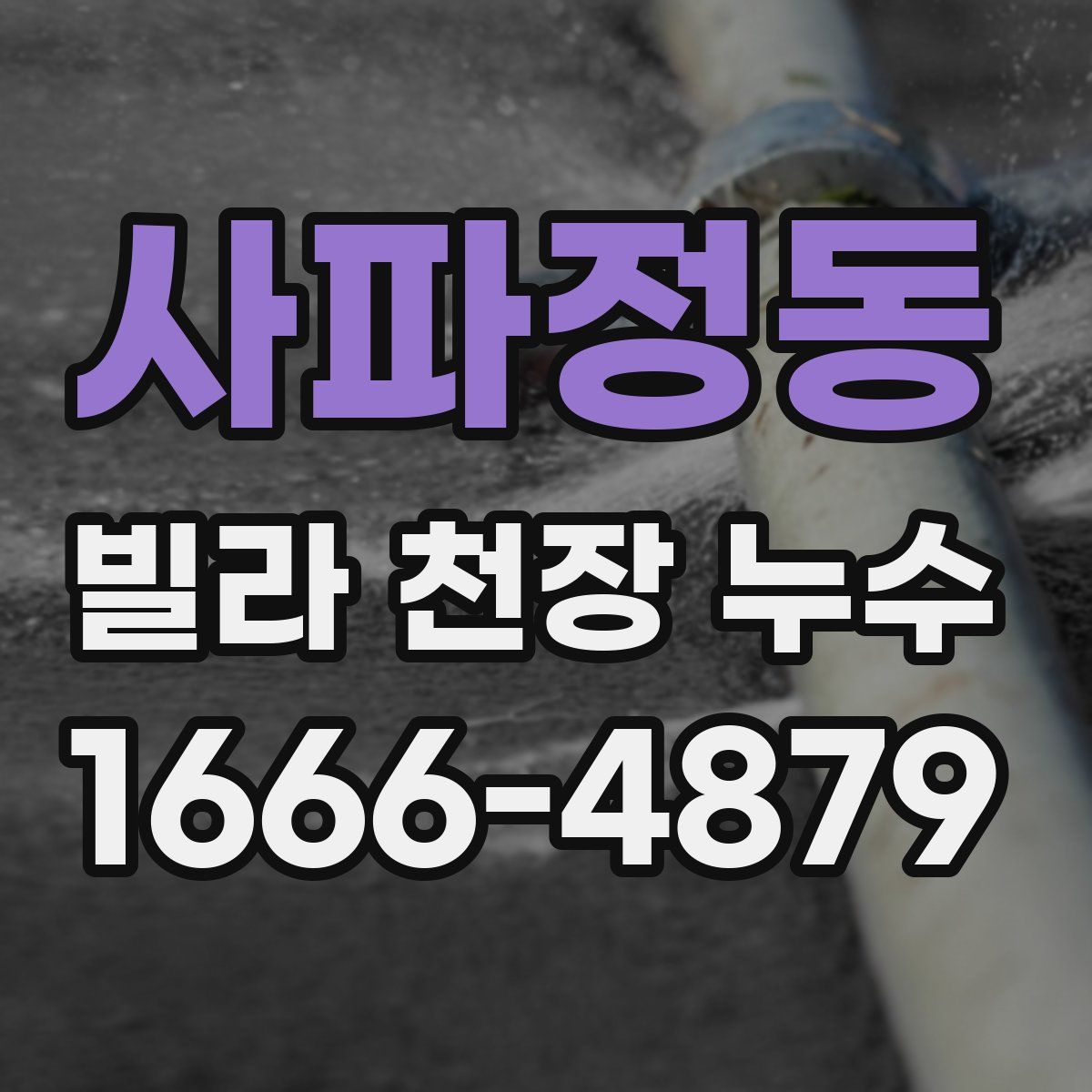 사파정동 빌라 천장 누수