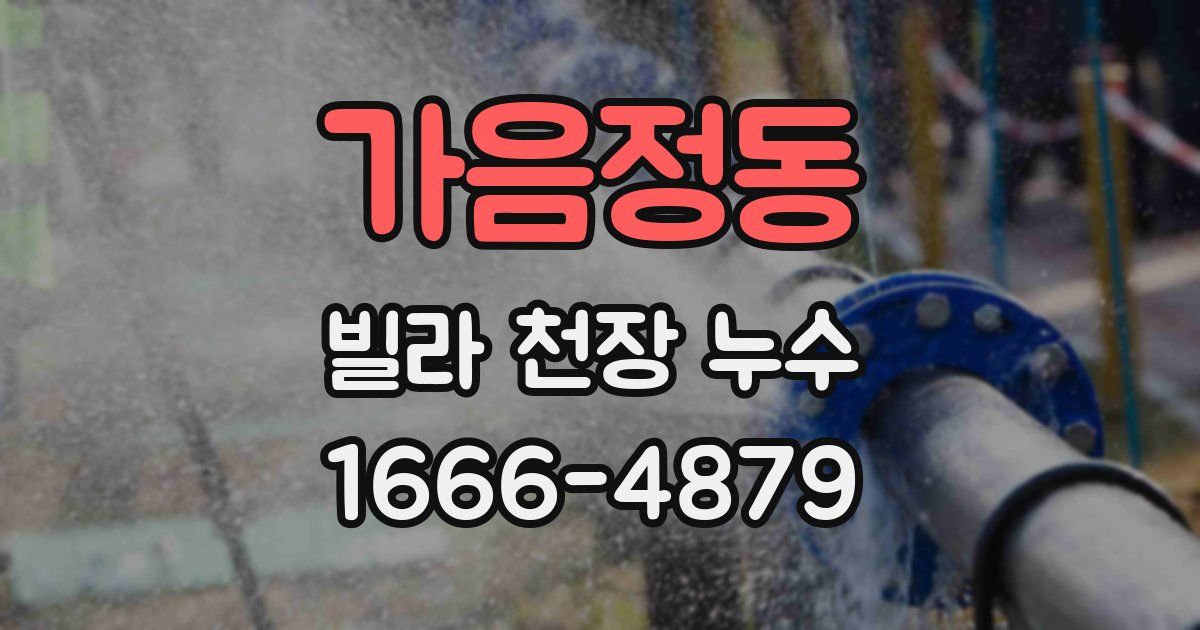 가음정동 빌라 천장 누수