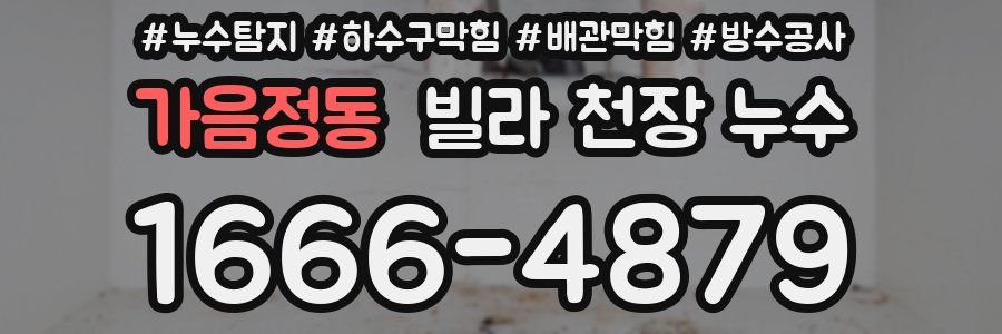 가음정동 빌라 천장 누수