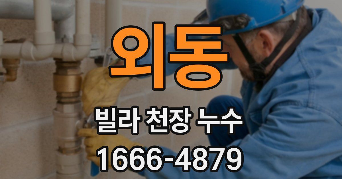 외동 빌라 천장 누수