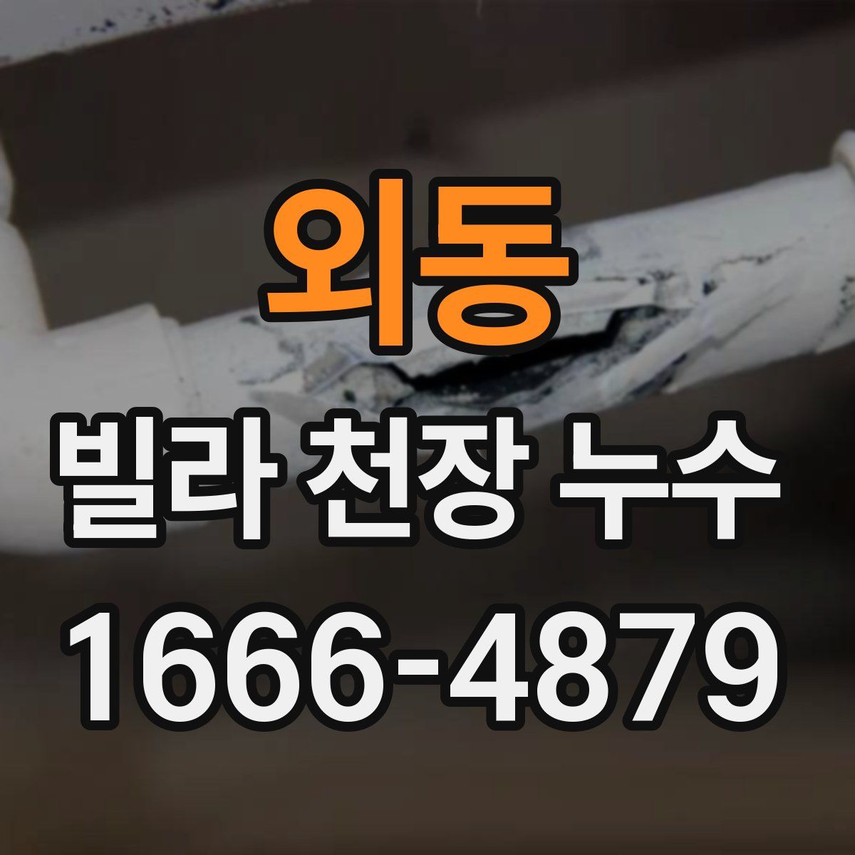 외동 빌라 천장 누수