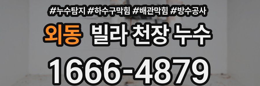 외동 빌라 천장 누수