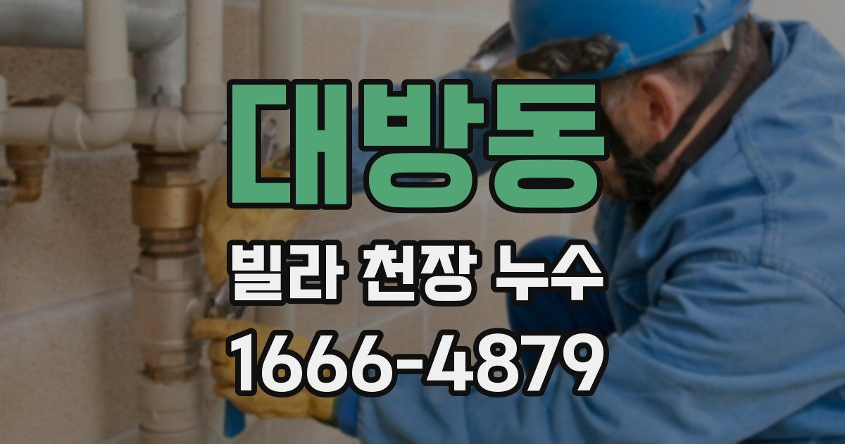 대방동 빌라 천장 누수