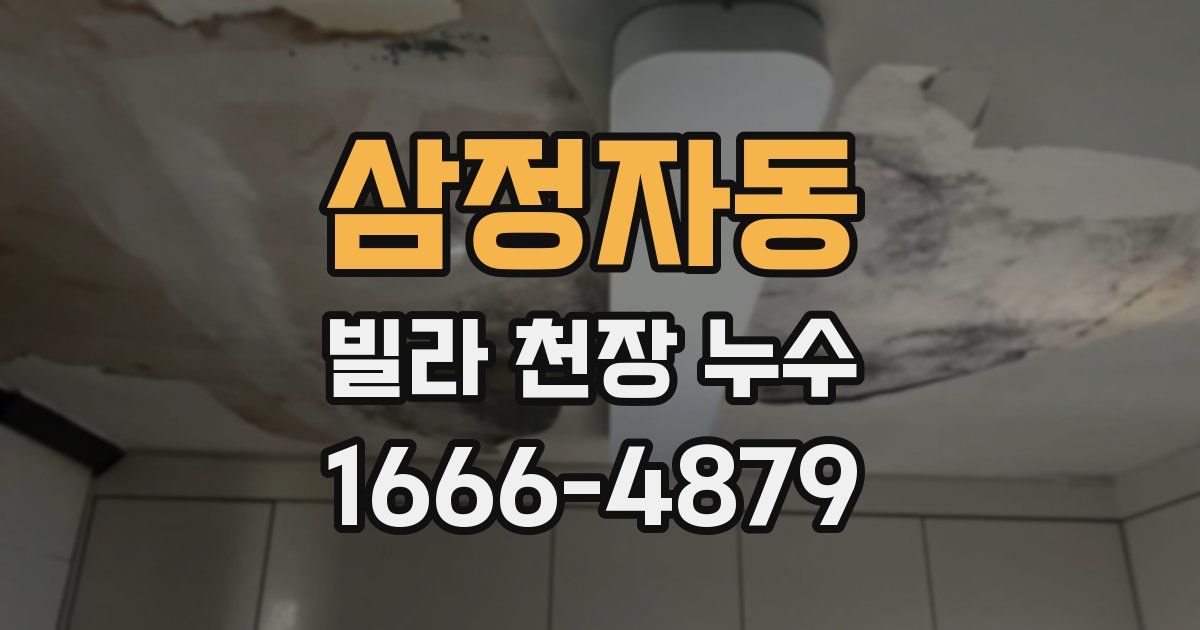 삼정자동 빌라 천장 누수