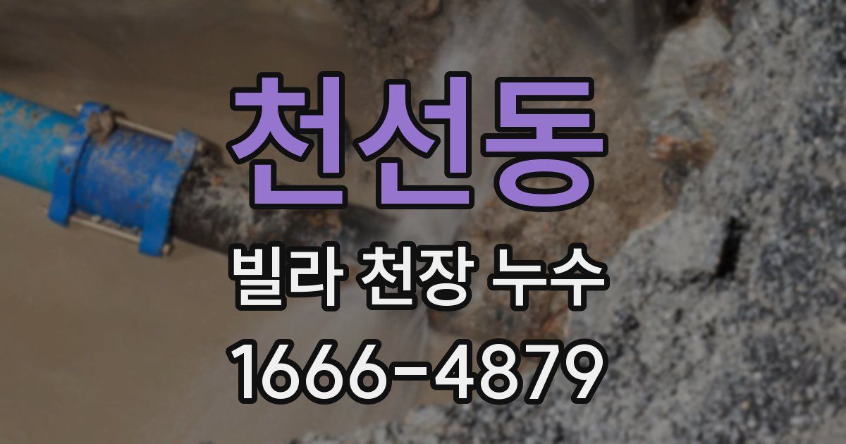 천선동 빌라 천장 누수