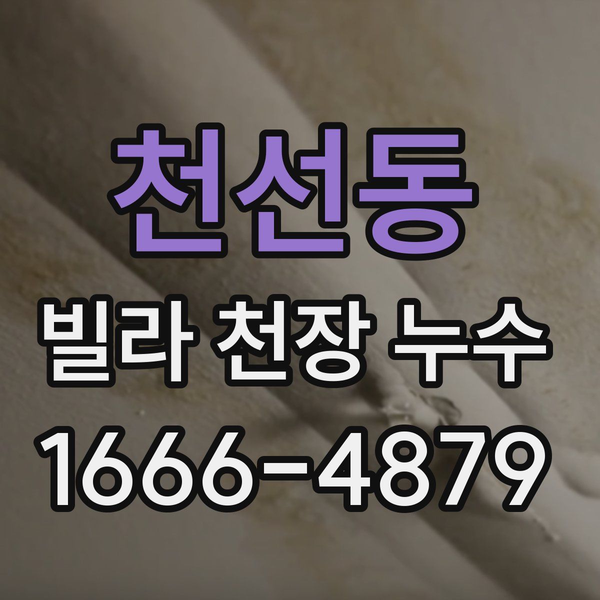 천선동 빌라 천장 누수