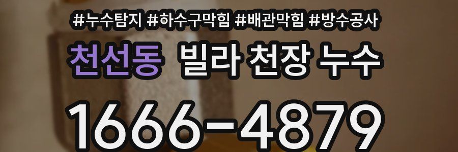 천선동 빌라 천장 누수