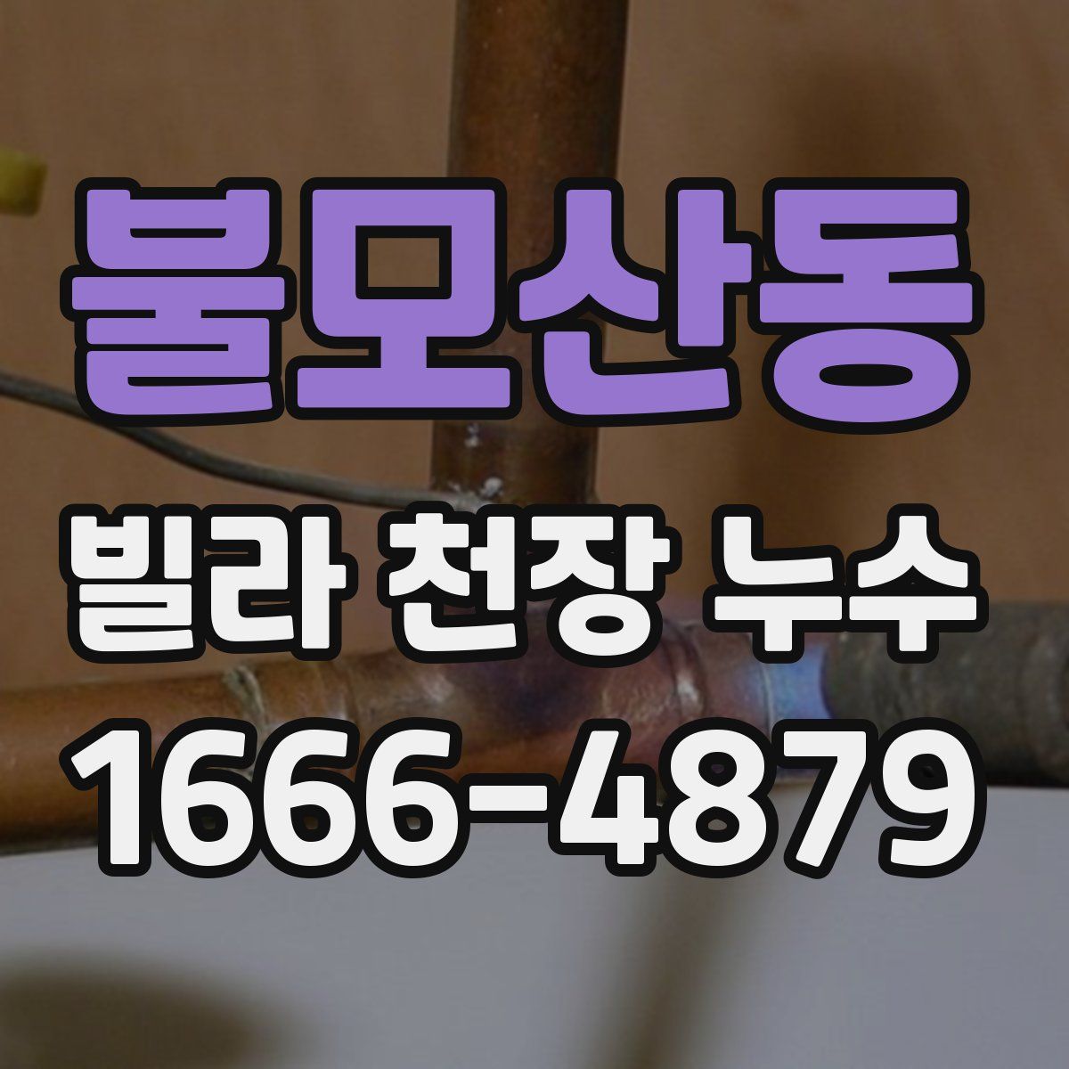 불모산동 빌라 천장 누수