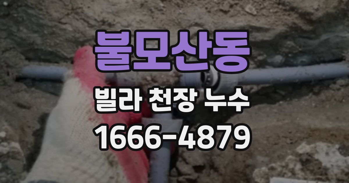불모산동 빌라 천장 누수