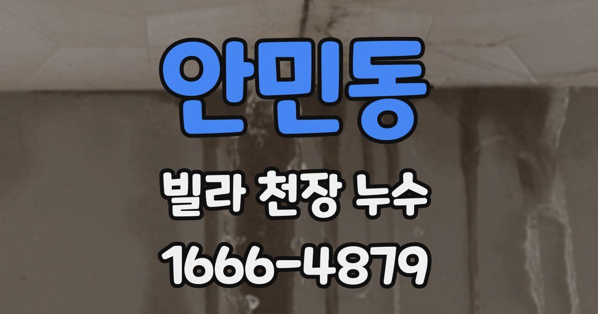 안민동 빌라 천장 누수