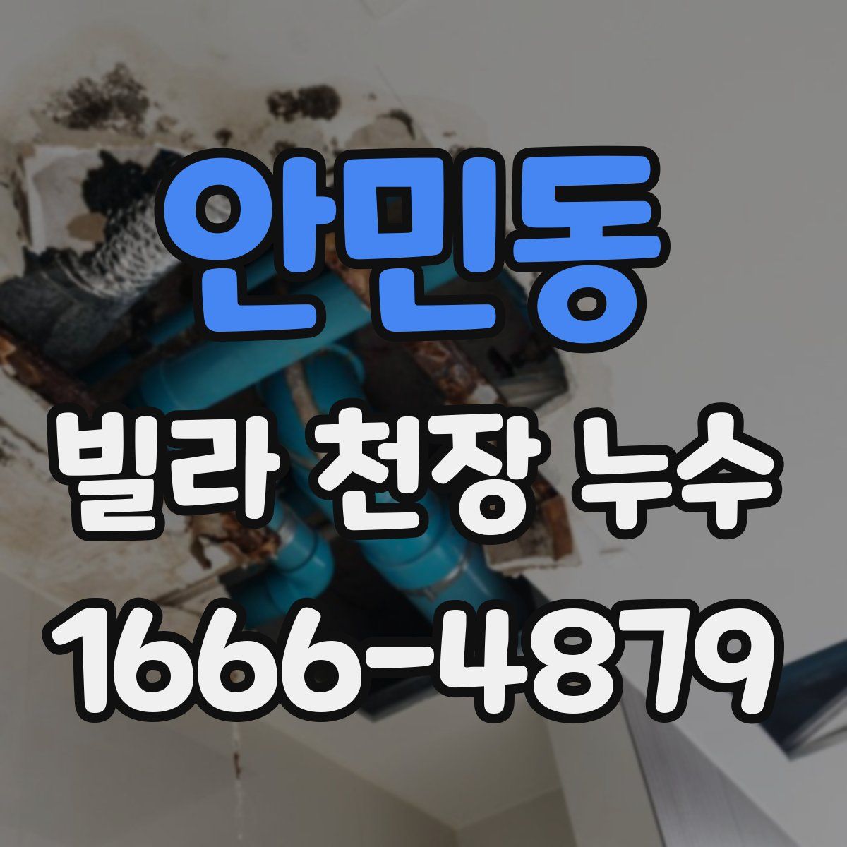 안민동 빌라 천장 누수