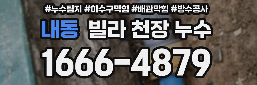 내동 빌라 천장 누수