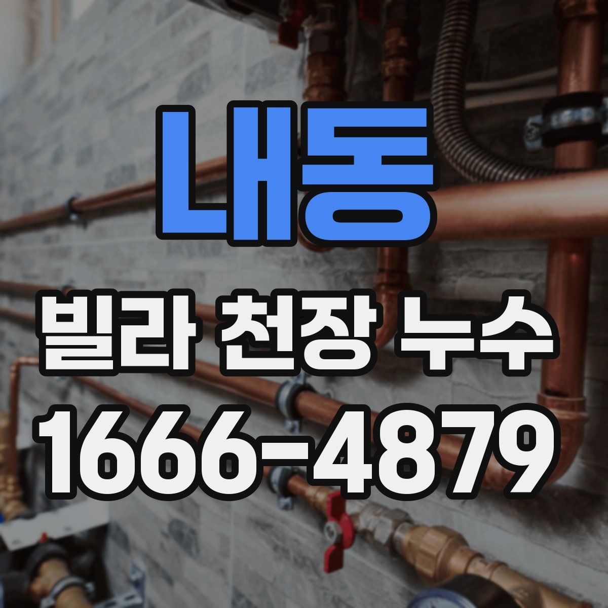 내동 빌라 천장 누수